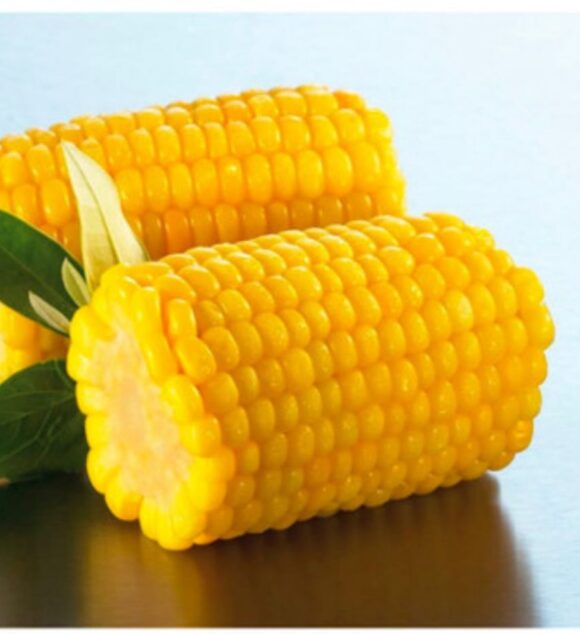 Corn On Cob