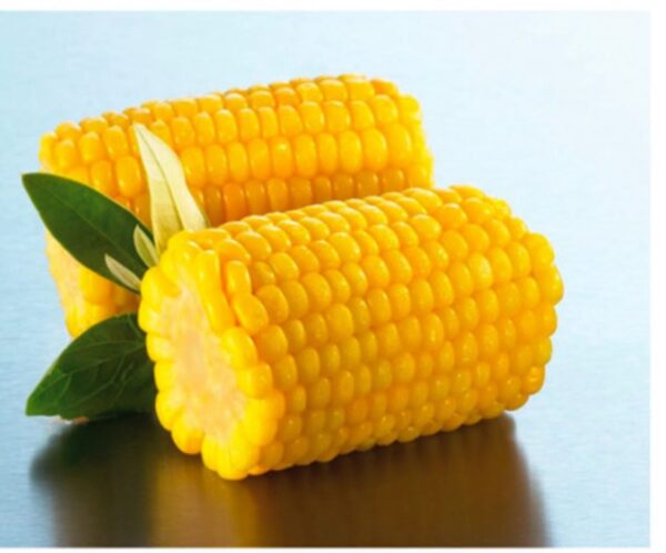 Corn On Cob